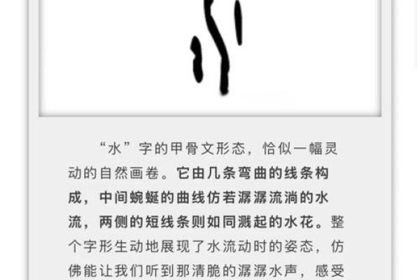 命属水者适合从事的行业与职业探索