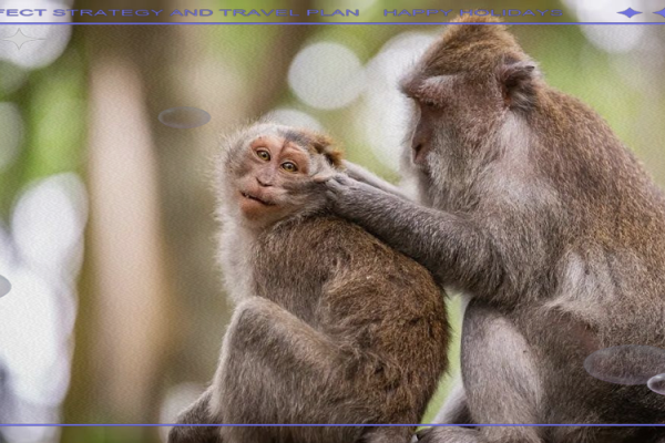 2016年出生的孩子命运解析:了解他们的个性与未来之路 2016年出生的孩子命运解析:了解他们的个性与未来之路
