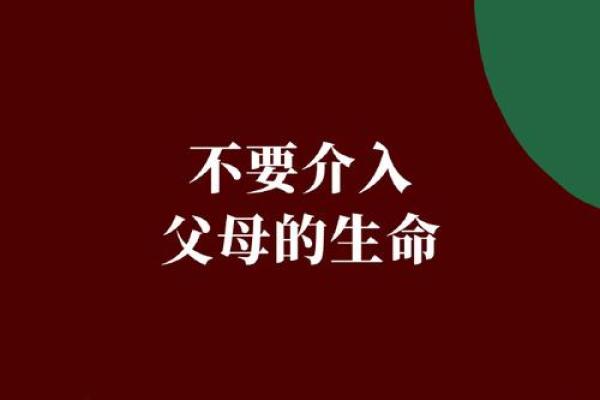 没有离婚命格的人生哲学:拥抱爱情与责任的力量 没有离婚命格的人生哲学:拥抱爱情与责任的力量