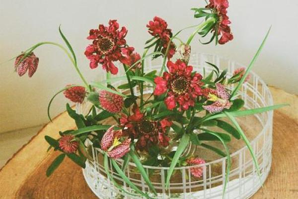 用花瓶的颜色来传达你的命理运势，尽享生活之美！