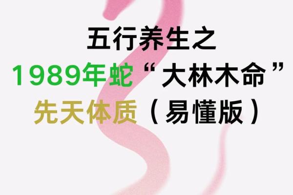 大林木命蛇佩戴饰品的神秘与选择指南 大林木命蛇佩戴饰品的神秘与选择指南