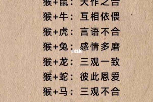 土命与属相的最佳组合：揭开命理的神秘面纱