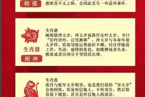1983年命男的命运与未来：解密属猪男生的独特魅力与挑战