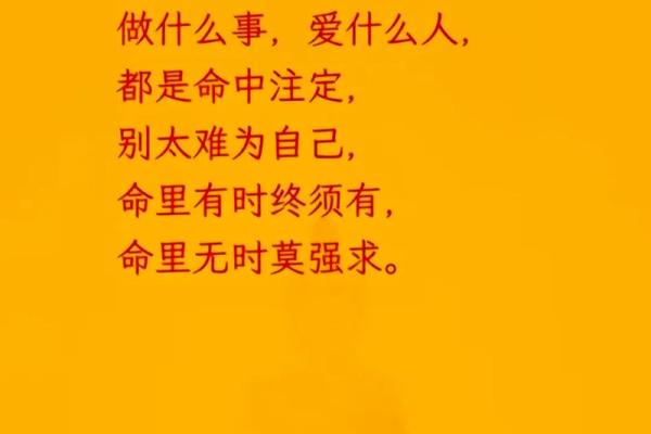 二命抵一命,揭示命理中的深刻智慧 二命抵一命,揭示命理中的深刻智慧