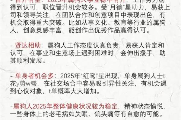 了解属狗的命运：51岁时的运势与人生解析