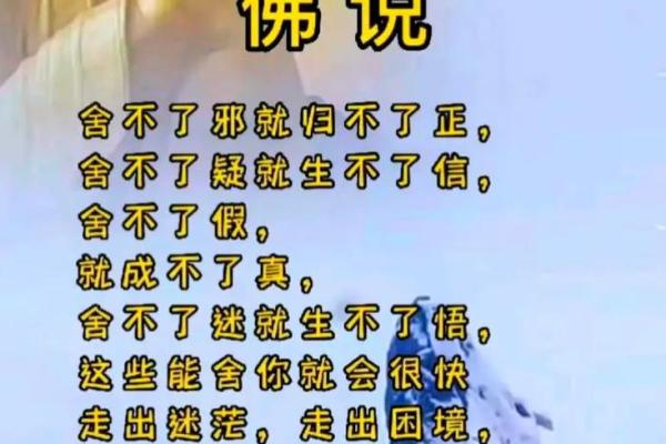 爱命如歌，成语绽放人生智慧的花朵