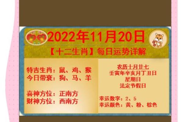 2022年生肖运势全解析，哪些生肖在未来更具潜力？