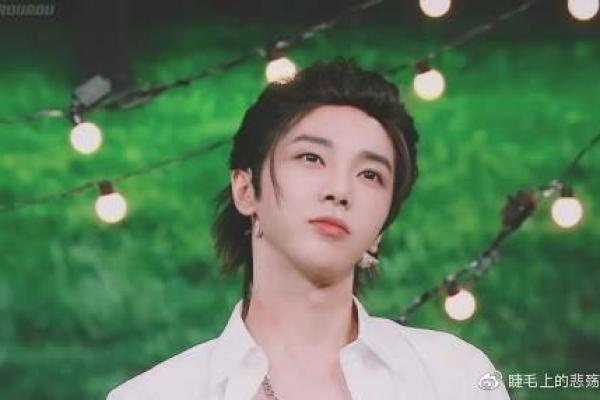 睫毛如丝的男生:命运、魅力与人生哲学的探讨 睫毛如丝的男生:命运、魅力与人生哲学的探讨