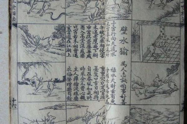 探索1962腊月13日出生者的命运与人生轨迹