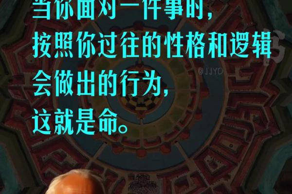 命理学入门：揭秘你的命运之书，选择最合适的经典读物