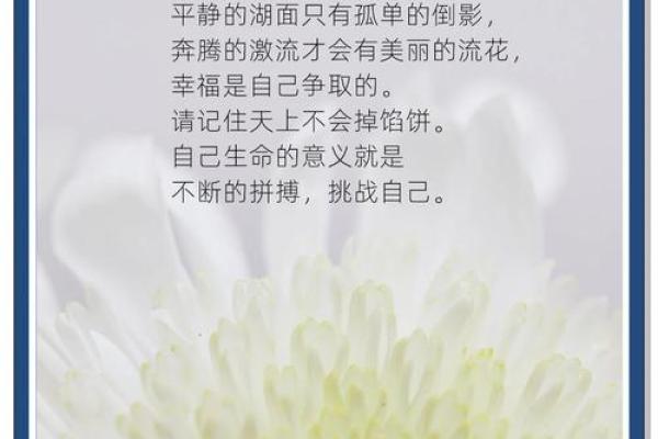 1991年午时出生的人命运解析与人生智慧 1991年午时出生的人命运解析与人生智慧