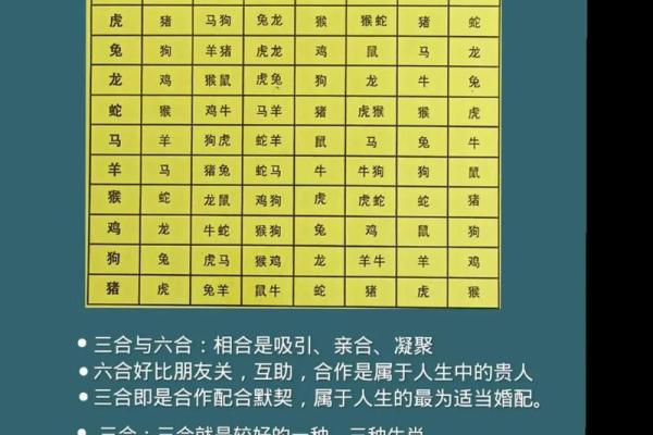 命硬命苦的生肖：深度解析命运与生肖的关系