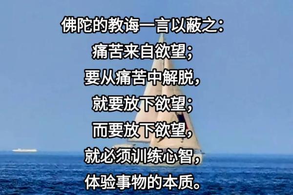 七五年兔子命：巧妙应对人生挑战的智慧之道