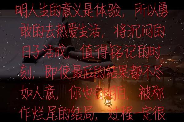 一命换一命：探讨生命的意义与价值的平衡