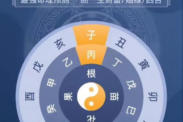 命理知识:从命数看人生运势,寻求内心的平和与指引 命理知识:从命数看人生运势,寻求内心的平和与指引