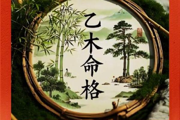 探寻五行木命格的奥义：如何利用自然之力助你人生腾飞？