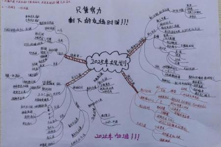 1919年生人如何规划人生之路，走向辉煌未来？