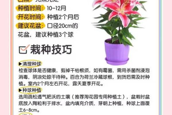 路旁土命人适合的花朵选择与养护指南