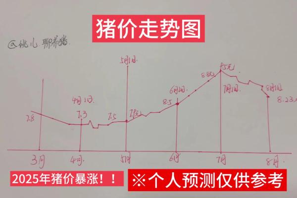 2009年属猪之人命理分析：性格、运势与发展趋势解析