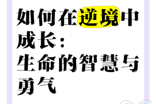 揭秘命杀:探寻人生逆境中的生存智慧与力量 揭秘命杀:探寻人生逆境中的生存智慧与力量