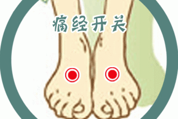 耳垂向上卷的命理解读与生活启示 耳垂向上卷的命理解读与生活启示