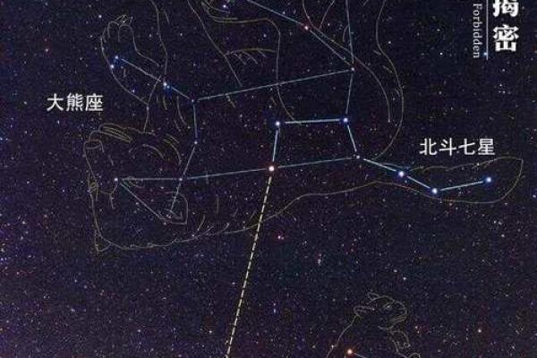 2028年出生宝宝命运解析：星辰与命格的美丽交响曲