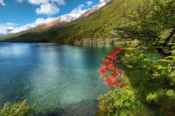 1990年马年出生的人：命理解读与人生启示