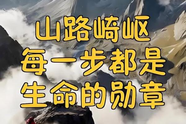 路旁土命的数字之旅：探寻生命的意义与方向