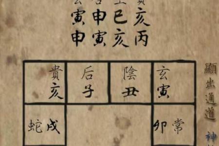 己酉命格：如何避开辛酉的挑战，解读命理的奥秘