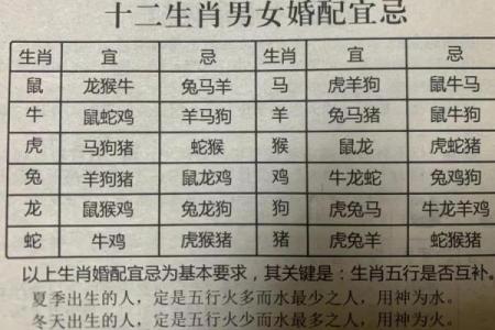 大海水命与属相的完美契合：探寻命理之间的奥秘