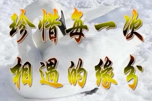 命亦缘，缘亦命：揭示人生深意的歌曲之美