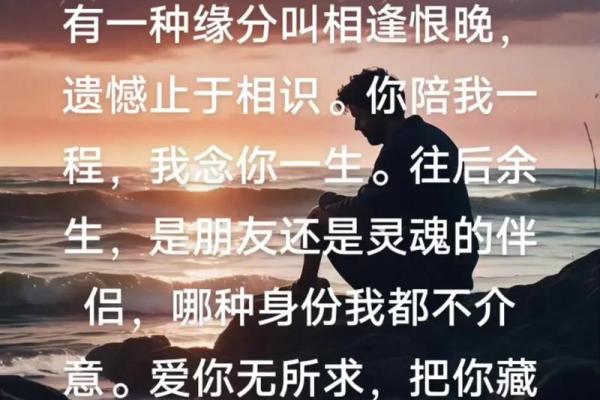 命亦缘，缘亦命：揭示人生深意的歌曲之美