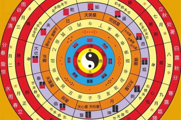 1992年五行命运解析：人生旅途中的信仰与指引