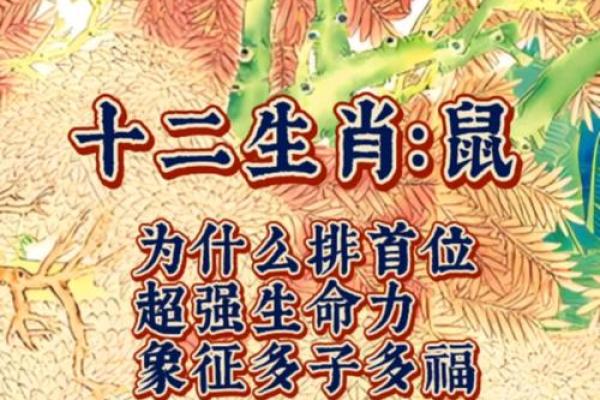 2021年老鼠年命运解析:揭示你的生肖特征与生活智慧 2021年老鼠年命运解析:揭示你的生肖特征与生活智慧