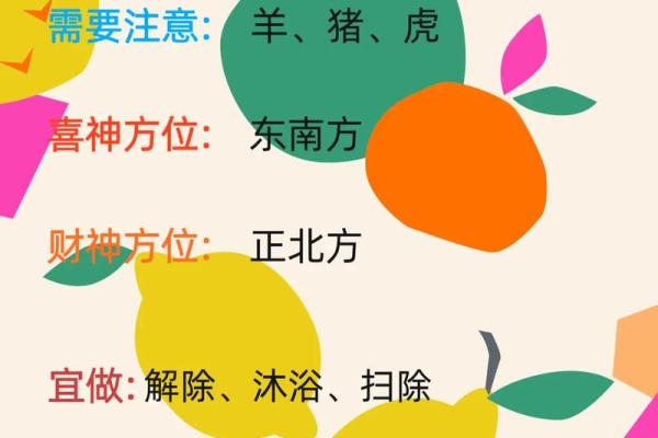 揭秘命运:不同生肖的命运解析与改运小窍门 揭秘命运:不同生肖的命运解析与改运小窍门