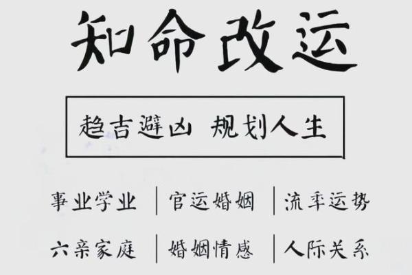 1967年出生的人命运解析：独特与机遇并存的精彩人生