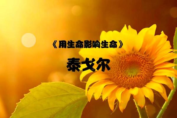探索“命光”的深刻含义与生活启示