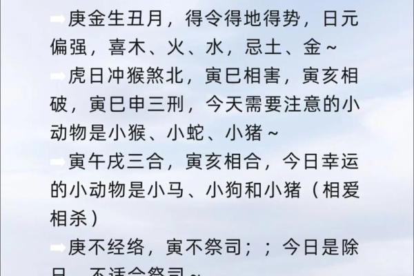 揭秘癸酉壬子命的精彩人生与命理特征