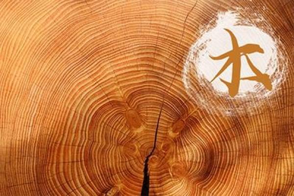 木命之人：如何在四季变化中找到最佳契机