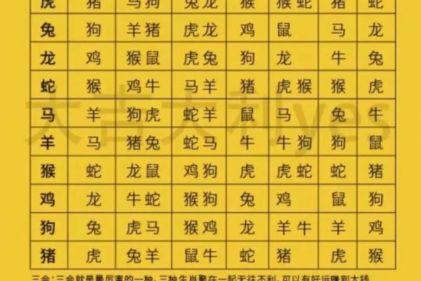 庚戌钗钏命解析：什么属相最适合你？