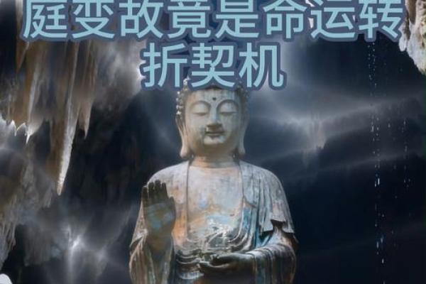 属猪人51岁命运解析:丰盈人生与智者之道 属猪人51岁命运解析:丰盈人生与智者之道