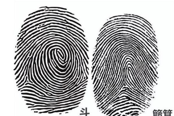 火命马开店选择最佳方向的奥秘解析