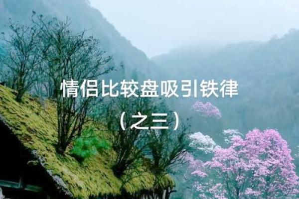 壬戌男命倾心女生类型,揭示情感世界的奥秘与吸引力! 壬戌男命倾心女生类型,揭示情感世界的奥秘与吸引力!