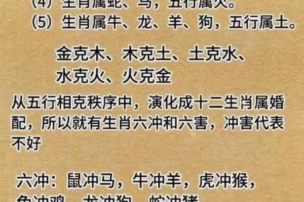 火命属相解析：揭示火命的生肖特征与性格魅力