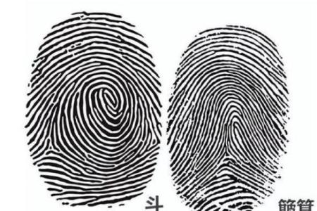 火命马开店选择最佳方向的奥秘解析