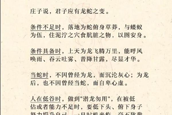 1978年属蛇人命运解析:看你该如何把握人生机遇! 1978年属蛇人命运解析:看你该如何把握人生机遇!