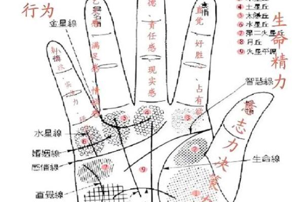 揭秘男生手相：那些注定命好的手相特征