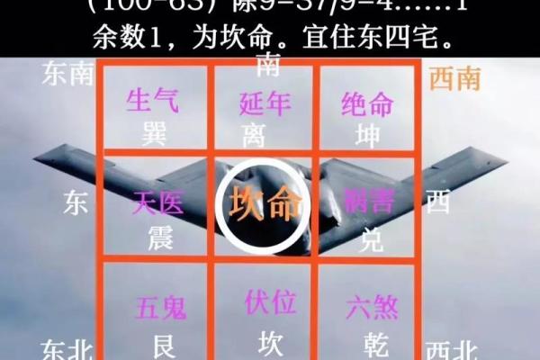 如何根据命年选择最合适的生活节奏与发展方向 如何根据命年选择最合适的生活节奏与发展方向