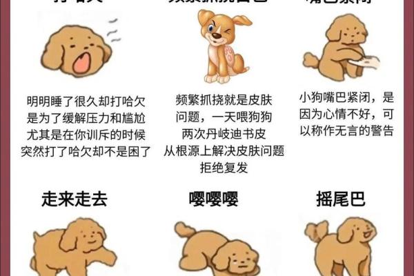 1706年属狗的命运解析：解密你的运势与人生轨迹