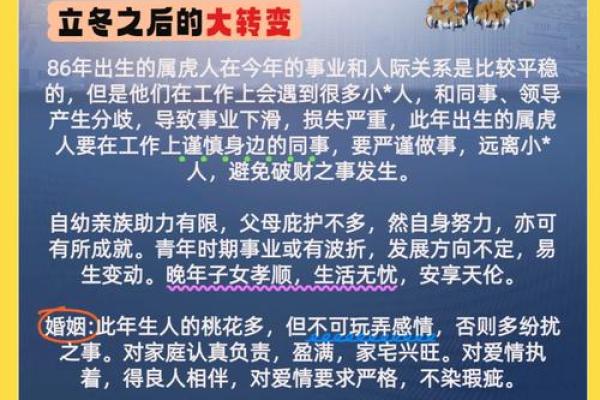属虎的1998年：探寻命运的多面性与性格特征
